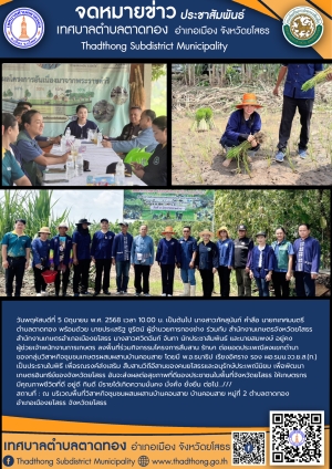 เทศบาลตำบลตาดทอง ร่วมกิจกรรมโครงการสืบสาน รักษา ต่อยอดประเพณีลงแขกดำนา ของกลุ่มวิสาหกิจชุมชนเกษตรผสมผสานในพื้นที่ตำบลตาดทอง