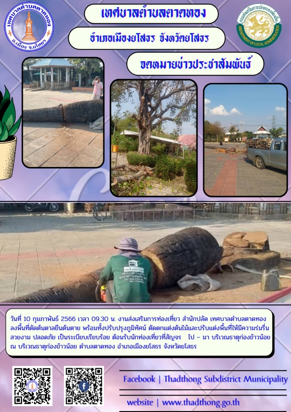 งานส่งเสริมการท่องเที่ยว สำนักปลัด เทศบาลตำบลตาดทอง ลงพื้นที่ตัดต้นตาลยืนต้นตาย พร้อมทั้งปรับปรุงภูมิทัศน์บริเวณธาตุก่องข้าวน้อย