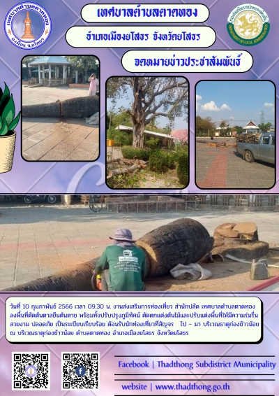 งานส่งเสริมการท่องเที่ยว สำนักปลัด เทศบาลตำบลตาดทอง ลงพื้นที่ตัดต้นตาลยืนต้นตาย พร้อมทั้งปรับปรุงภูมิทัศน์บริเวณธาตุก่องข้าวน้อย
