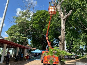 เทศบาลตำบลตาดทอง ลงพื้นที่ดำเนินการตัดต้นไม้ ตัดกิ่งไม้ และทำความสะอาดบริเวณพื้นที่ตำบลตาดทอง