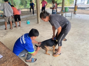 เทศบาลตำบลตาดทอง ออกบริการอบรมให้ความรู้และออกให้บริการฉีดวัคซีนป้องกันโรคพิษสุนัขบ้า ประจำปี 2567