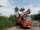 เทศบาลตำบลตาดทอง ลงพื้นที่ซ่อมแซมไฟฟ้าส่องสว่าง ไฟฟ้าสาธารณะประโยชน์ในพื้นที่ตำบลตาดทอง อำเภอเมืองยโสธร จังหวัดยโสธร